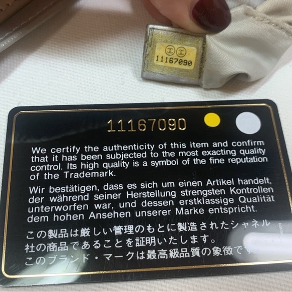 Chanel Rare Silver Travel Line Fabric Tote with Silver Leather Handles - Picture 16 of 17